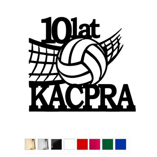 UR102-SIATKÓWKA (2) — kopia.jpg